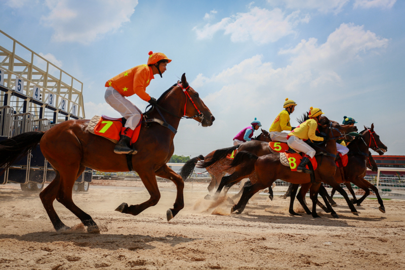 Read more about the article Bật mí bí kíp đua ngựa trên Kbet không thua từ chuyên gia